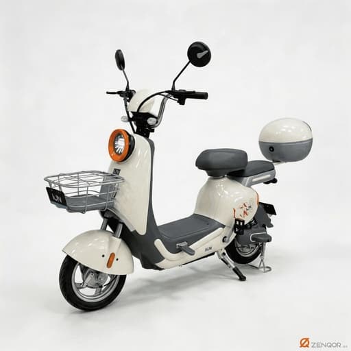 ION-R20 T106-BLUE UU-W - Bicycle-350W 48V-12h-Lithium Battery 3 Speed (White)